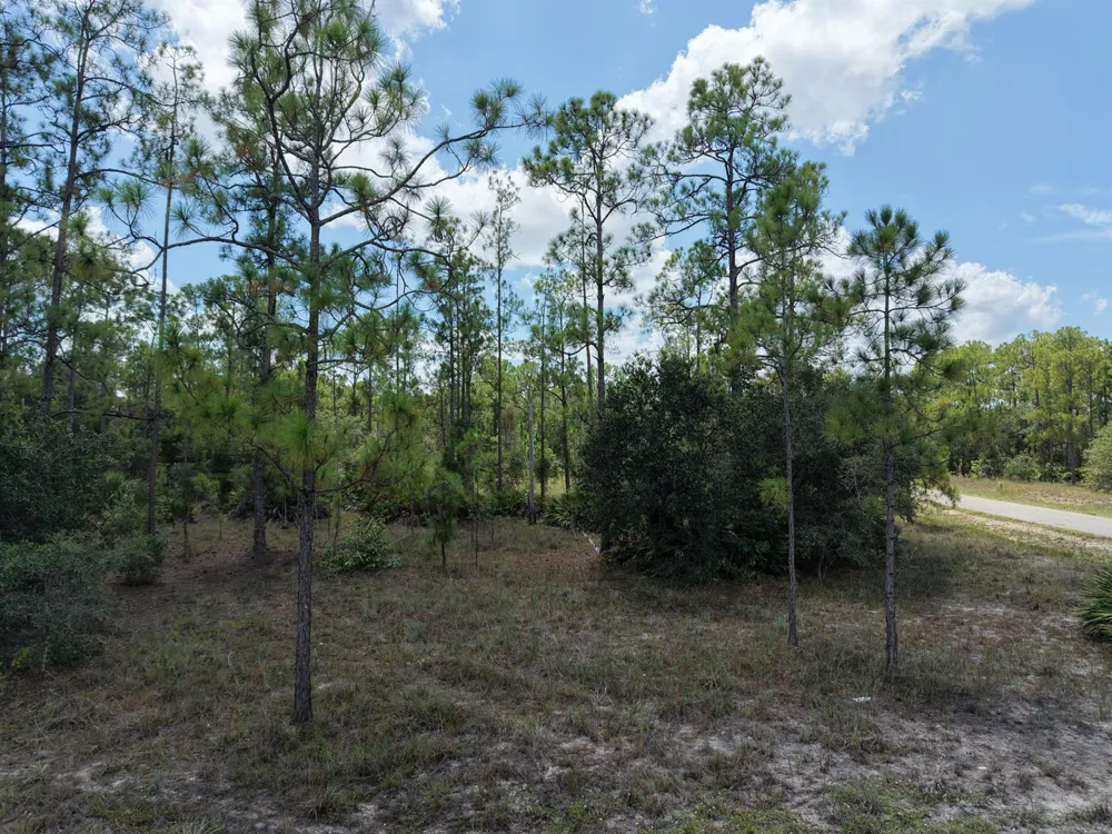 1600 E 15th Street Lehigh Acres, FL 33972