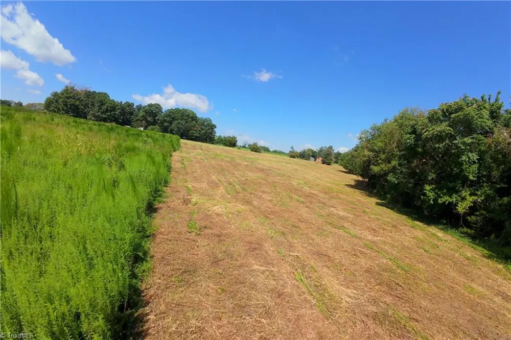 0 Morgan Road Boonville, NC 27011