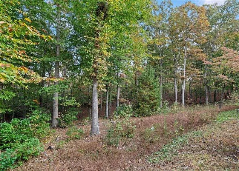000 Ammons Drive Waleska, GA 30183