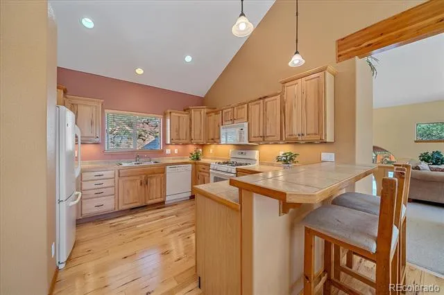 51 Cedar Lane Bailey, CO 80421
