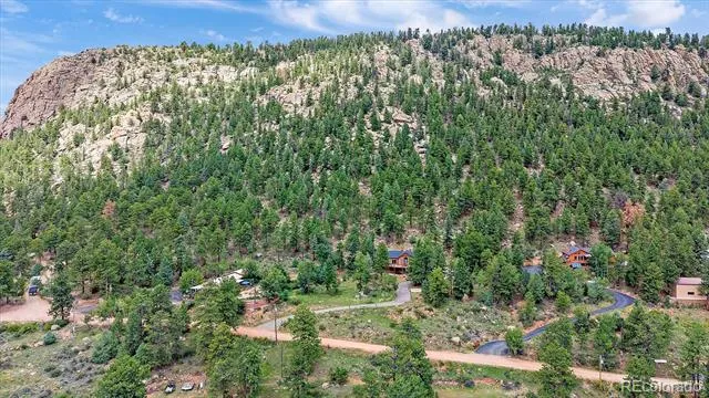 51 Cedar Lane Bailey, CO 80421