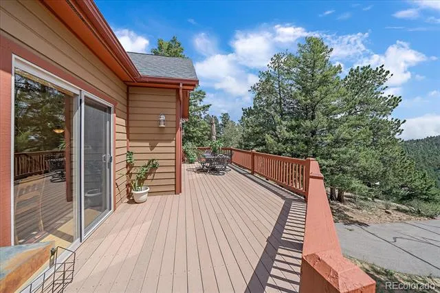 51 Cedar Lane Bailey, CO 80421
