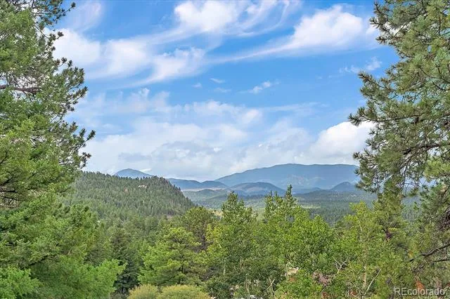 51 Cedar Lane Bailey, CO 80421