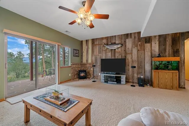 51 Cedar Lane Bailey, CO 80421