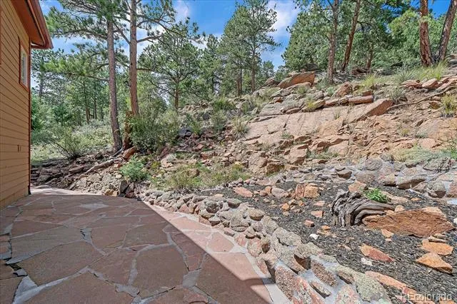 51 Cedar Lane Bailey, CO 80421
