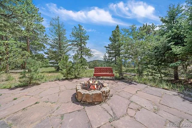 51 Cedar Lane Bailey, CO 80421