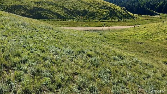 175 Twin Lakes Drive Divide, CO 80814