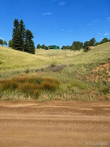 175 Twin Lakes Drive Divide, CO 80814