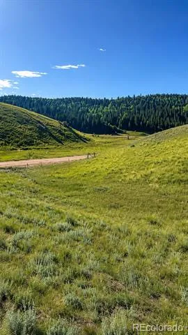 175 Twin Lakes Drive Divide, CO 80814
