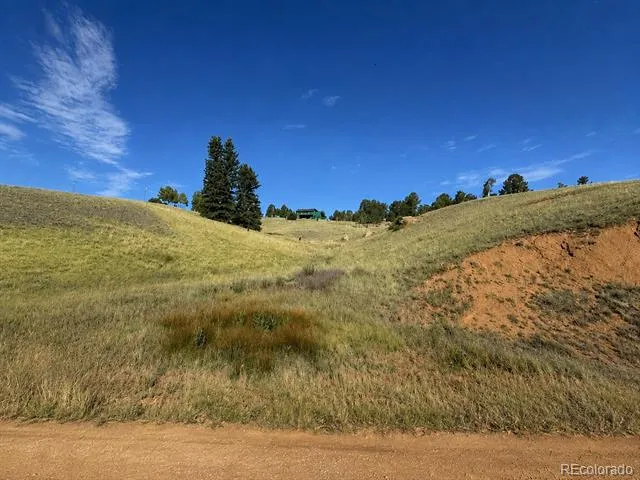 175 Twin Lakes Drive Divide, CO 80814