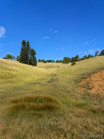 175 Twin Lakes Drive Divide, CO 80814