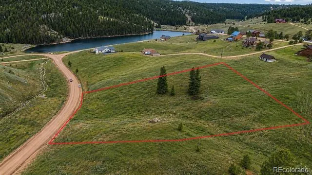 175 Twin Lakes Drive Divide, CO 80814