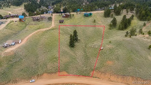 175 Twin Lakes Drive Divide, CO 80814