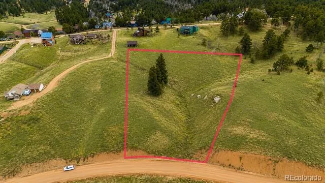 175 Twin Lakes Drive Divide, CO 80814