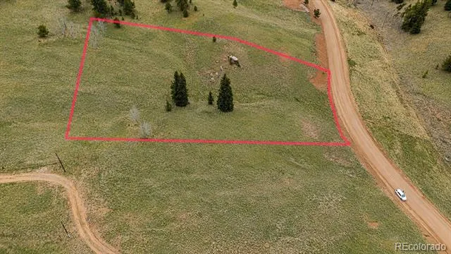 175 Twin Lakes Drive Divide, CO 80814