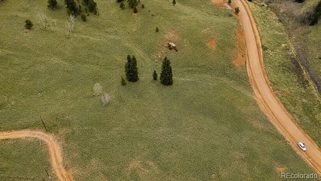 175 Twin Lakes Drive Divide, CO 80814