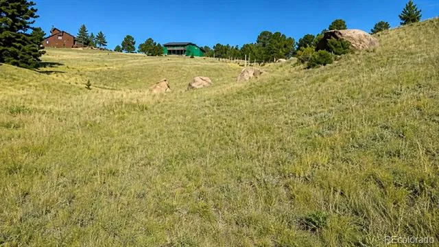 175 Twin Lakes Drive Divide, CO 80814