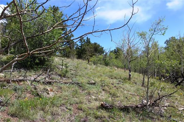 00 Quartz Hill Road Central City, CO 80427