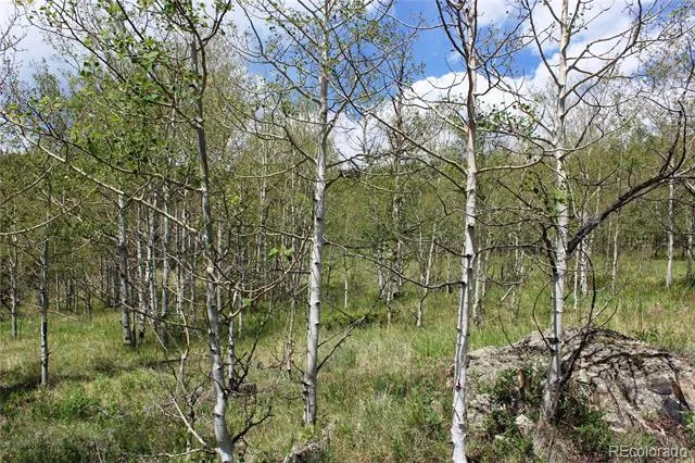 00 Quartz Hill Road Central City, CO 80427