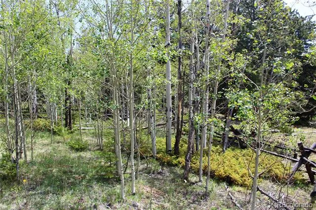 00 Quartz Hill Road Central City, CO 80427