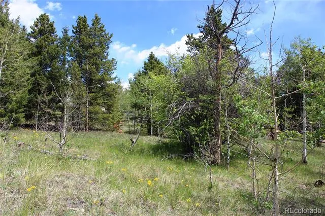 00 Quartz Hill Road Central City, CO 80427