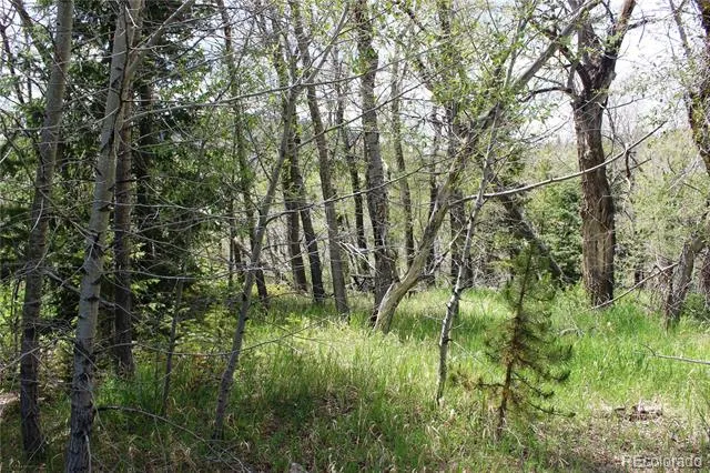 00 Quartz Hill Road Central City, CO 80427