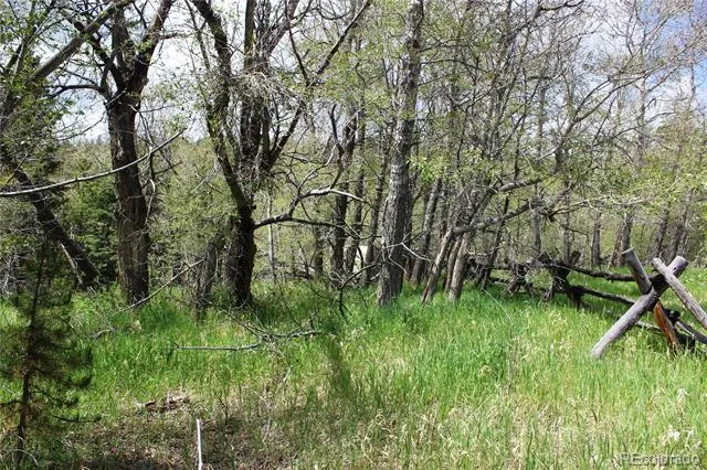 00 Quartz Hill Road Central City, CO 80427