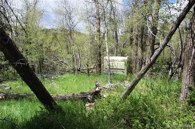 00 Quartz Hill Road Central City, CO 80427