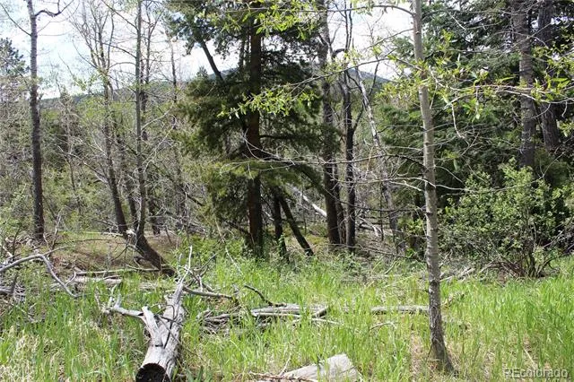 00 Quartz Hill Road Central City, CO 80427