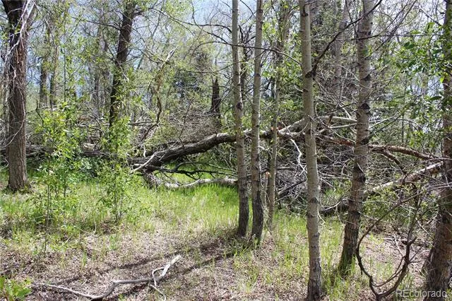 00 Quartz Hill Road Central City, CO 80427
