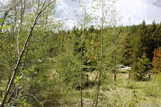 00 Quartz Hill Road Central City, CO 80427