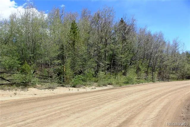 00 Quartz Hill Road Central City, CO 80427