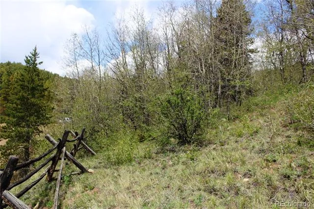 00 Quartz Hill Road Central City, CO 80427