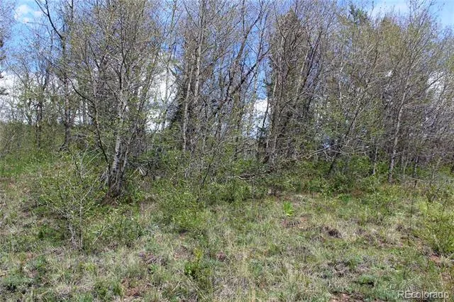 00 Quartz Hill Road Central City, CO 80427