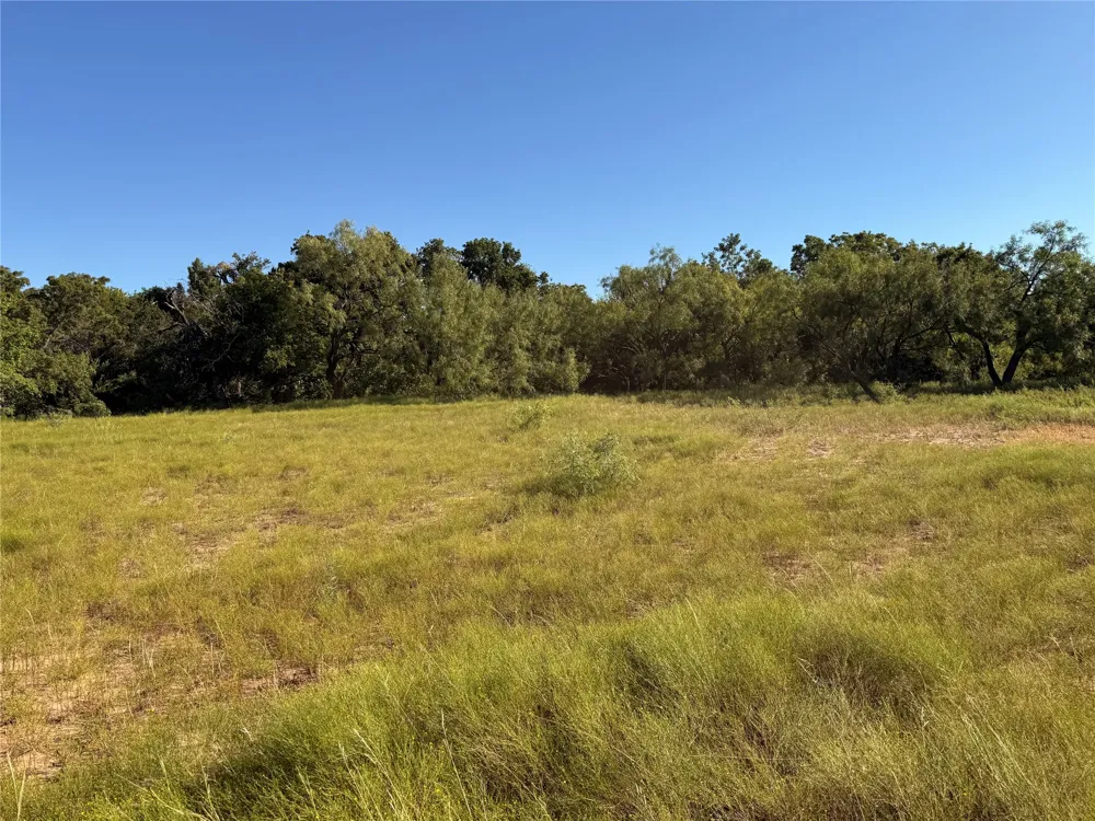 ST HWY 153 Wingate, TX 79566