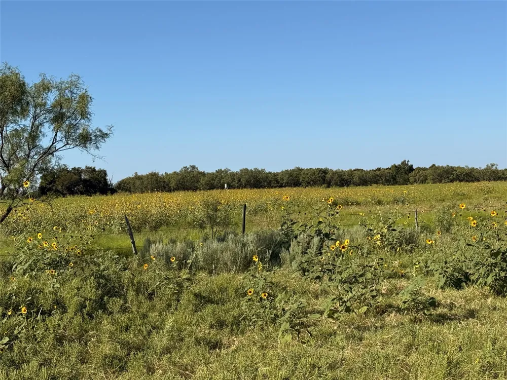 ST HWY 153 Wingate, TX 79566