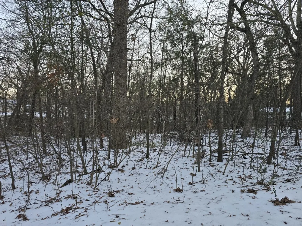 750 Doe Run Road Gun Barrel City, TX 75156