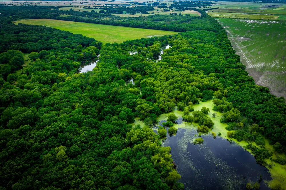 775 Ten Mile Ferris, TX 75125