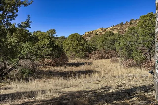 14633 Rancho Verde Road Trinidad, CO 81082