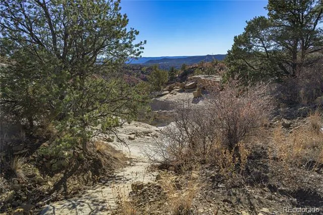 14633 Rancho Verde Road Trinidad, CO 81082