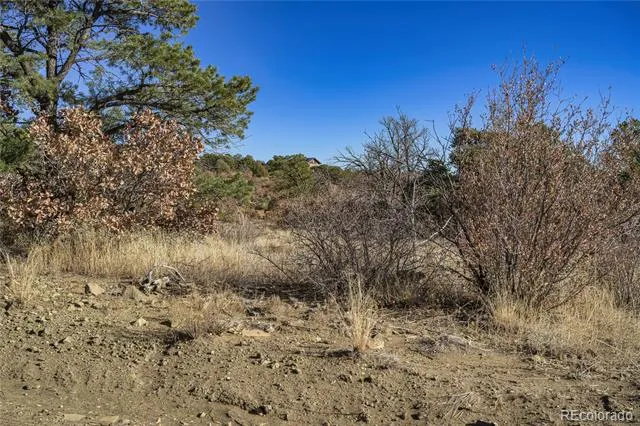 14633 Rancho Verde Road Trinidad, CO 81082