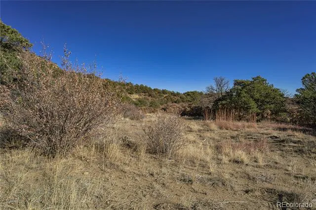 14633 Rancho Verde Road Trinidad, CO 81082