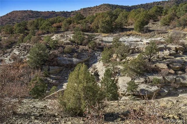 14633 Rancho Verde Road Trinidad, CO 81082