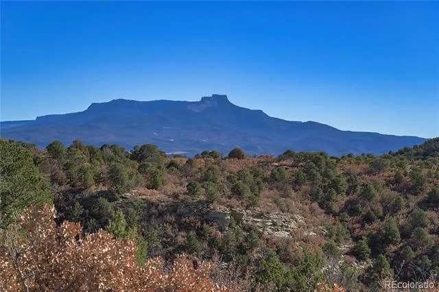 14633 Rancho Verde Road Trinidad, CO 81082