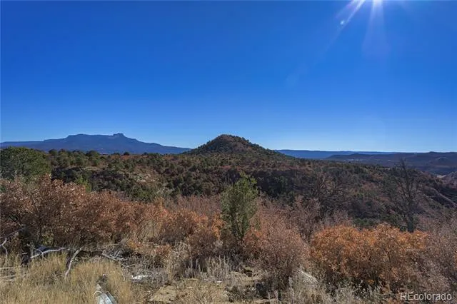 14633 Rancho Verde Road Trinidad, CO 81082