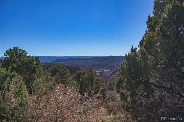 14633 Rancho Verde Road Trinidad, CO 81082