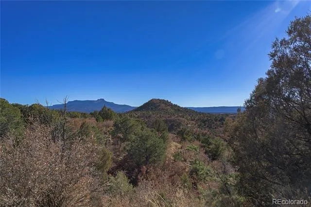 14633 Rancho Verde Road Trinidad, CO 81082