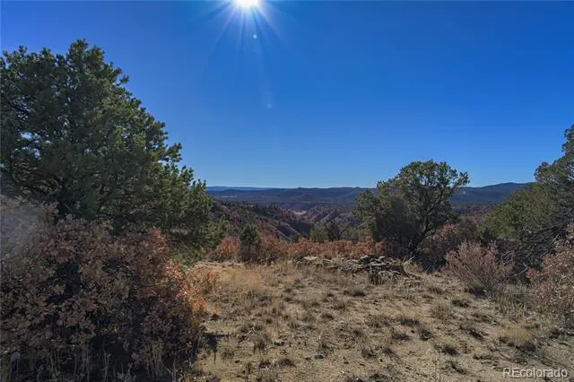 14633 Rancho Verde Road Trinidad, CO 81082