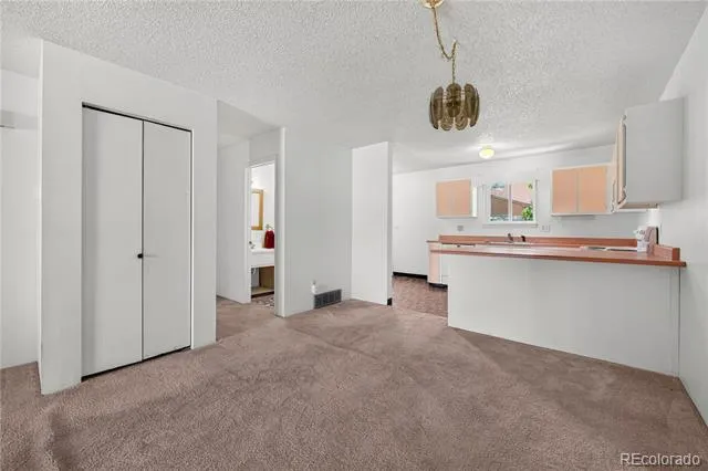 1264 S Reed Street #3 Denver, CO 80232