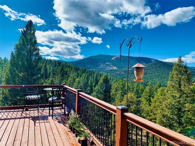 461 Hitchrack Road Bailey, CO 80421